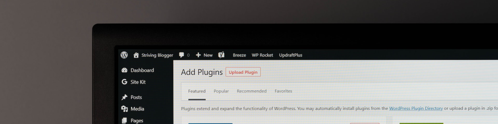 Wordpress hosting options